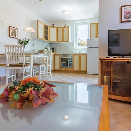Apartment Amazing In With Kitchen Medulin