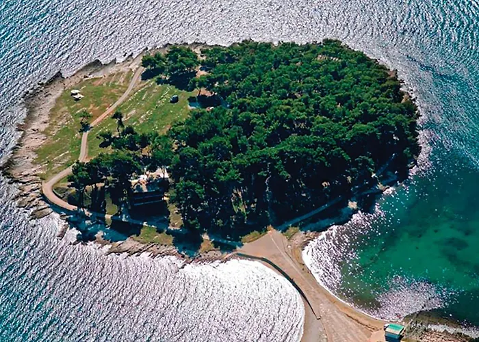 Brajdine 75,app Vi * Μεντουλίν