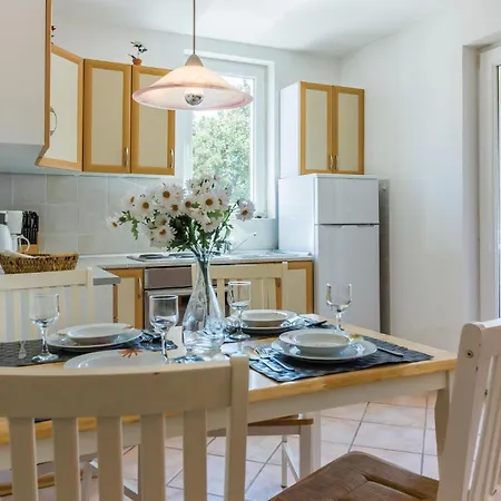 Apartment Amazing In With Kitchen Medulin