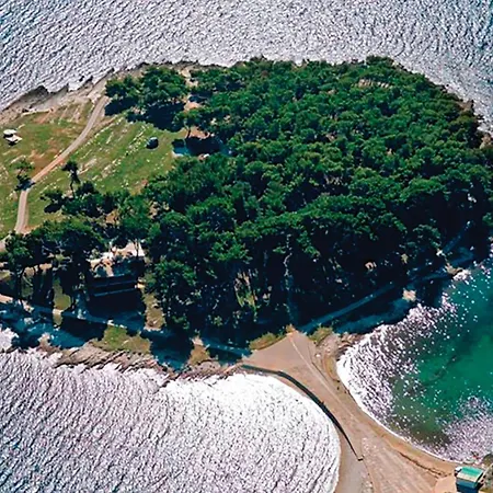 Brajdine 75,app Vi * Medulin